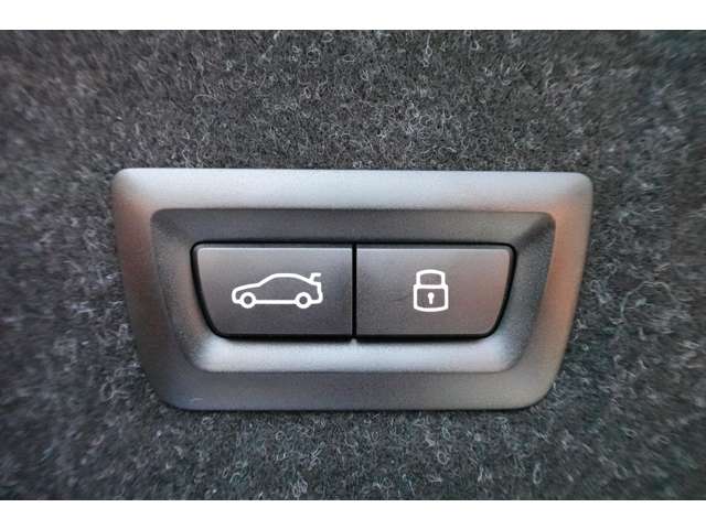 ＢＭＷ ３シリーズ ３１８ｉ　Ｍスポーツ R6年 (近畿) 99