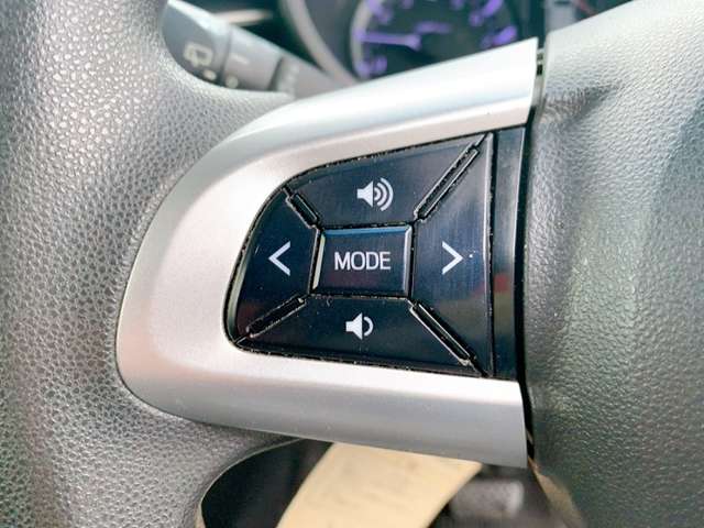 ダイハツ ムーヴ ６６０ カスタム Ｘ H28年 (九州・沖縄) 99