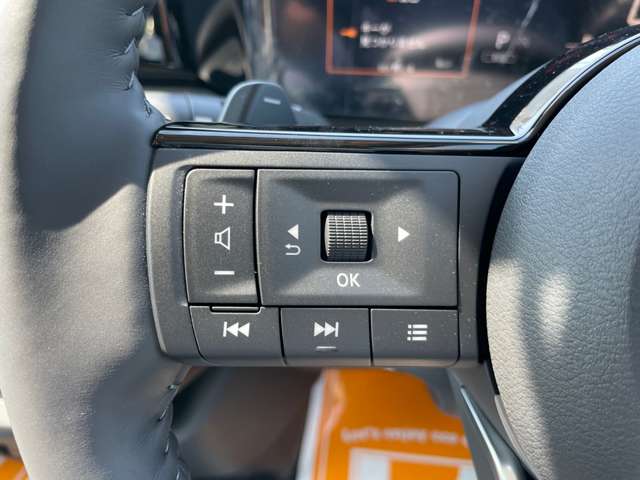 日産 セレナ ２．０ ハイウェイスターＶ Ｖセレクション R6年 (近畿) 99