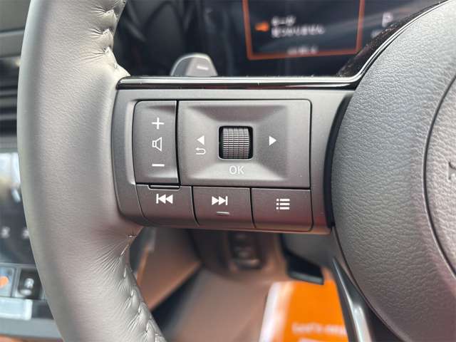 日産 セレナ ２．０ ハイウェイスターＶ Ｖセレクション R6年 (近畿) 99