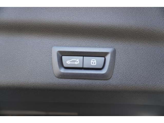 ＢＭＷ ｉＸ１ Ｅドライブ２０ Ｍスポーツ R6年 (近畿) 99