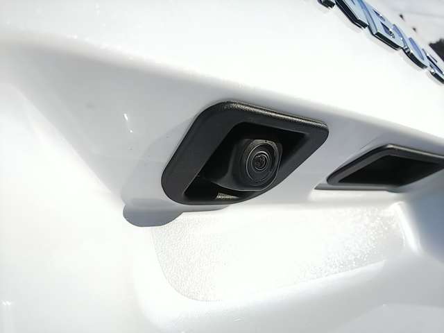 ダイハツ ムーヴ　キャンバス ６６０ ストライプス Ｇ R6年 (関東) 99