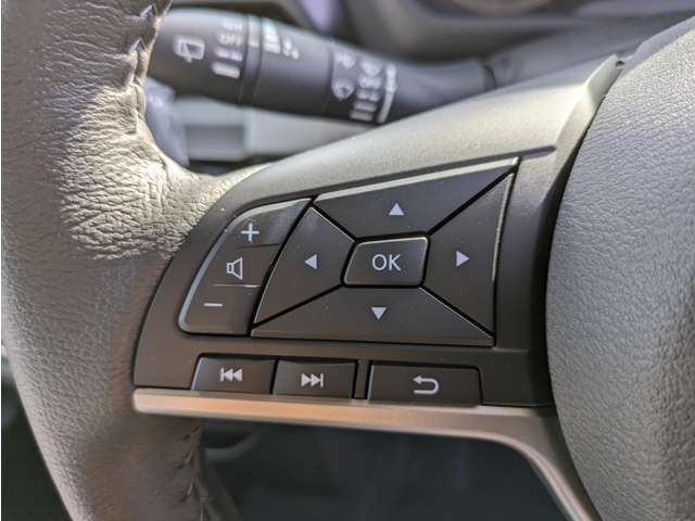 三菱 デリカ　ミニ ６６０ Ｇ プレミアム R6年 (関東) 99