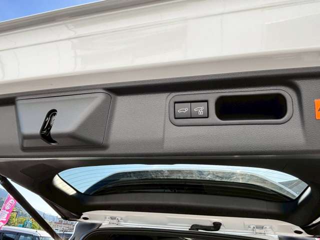 レクサス ＬＭ５００ｈ ５００Ｈ バージョンＬ ４ＷＤ R6年 (九州・沖縄) 99