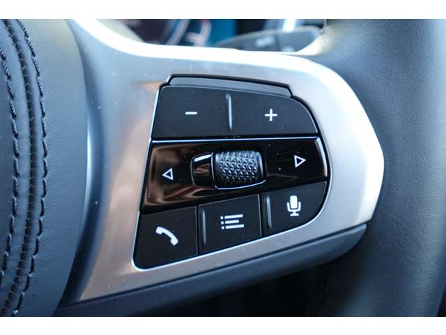 ＢＭＷ ｉＸ３ Ｍスポーツ R4年 (近畿) 99