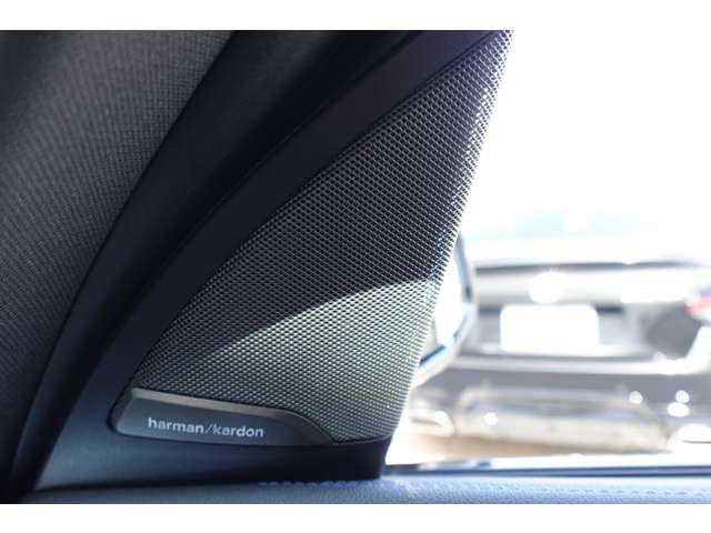 ＢＭＷ ｉＸ３ Ｍスポーツ R4年 (近畿) 99