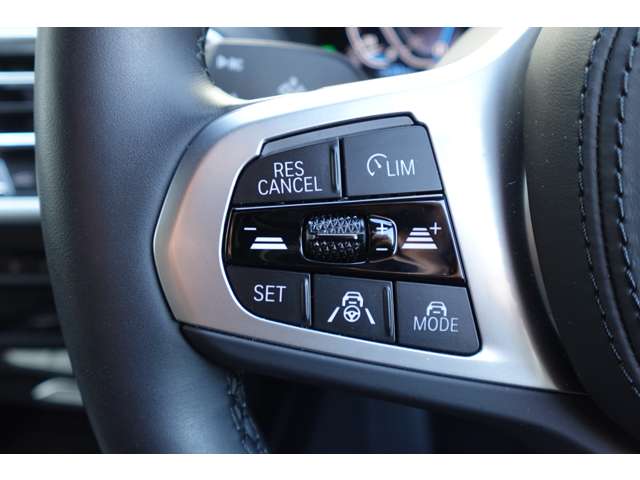 ＢＭＷ ｉＸ３ Ｍスポーツ R4年 (近畿) 99