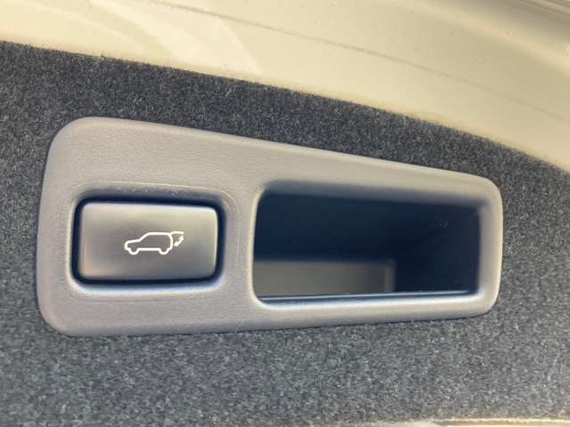 トヨタ ハリアー ２．０ プレミアム アドバンストパッケージ H27年 (関東) 99