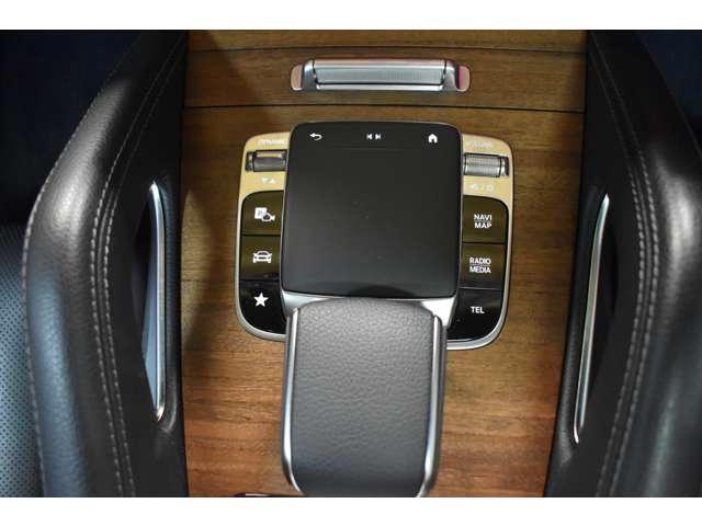 メルセデスベンツ ＧＬＥクラス ４５０ ４マチック スポーツ （ＩＳＧ搭載モデル） ４ＷＤ R2年 (関東) 99