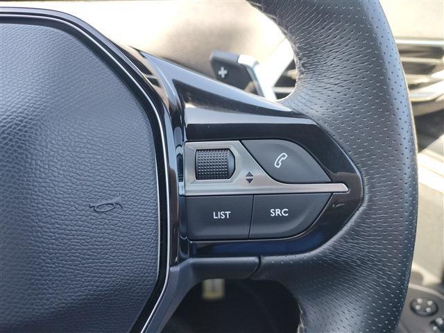 プジョー ３００８ ＧＴライン　デビューエディション H29年 (東北) 99