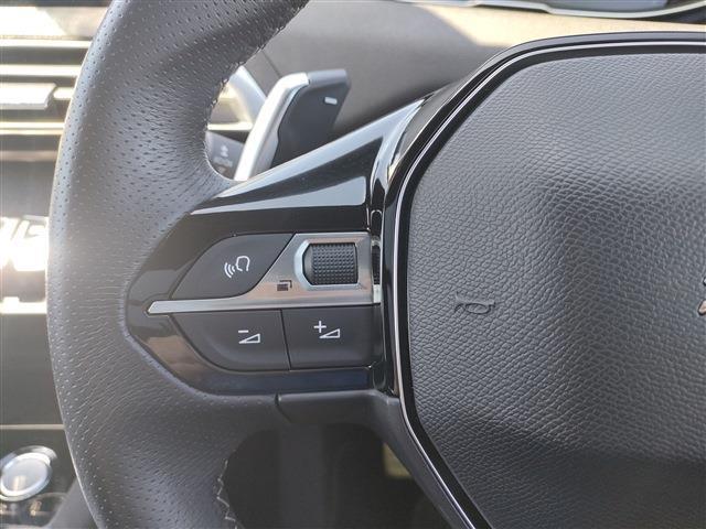 プジョー ３００８ ＧＴライン　デビューエディション H29年 (東北) 99