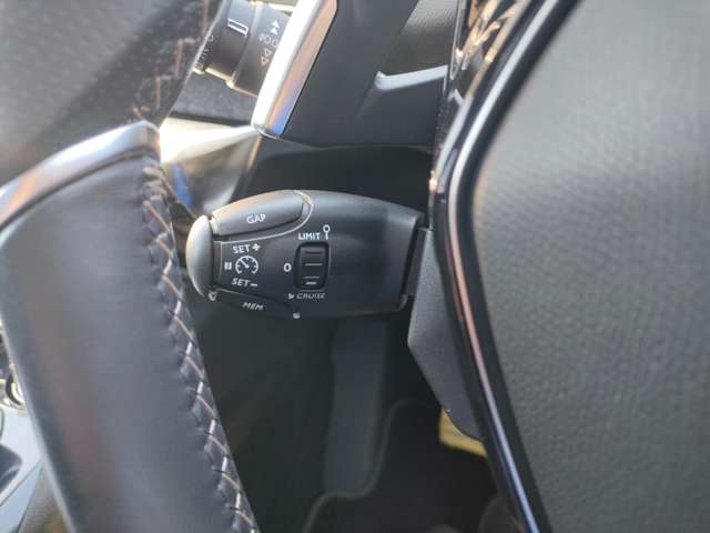 プジョー ３００８ ＧＴライン　デビューエディション H29年 (東北) 99