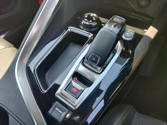 プジョー ３００８ ＧＴライン　デビューエディション H29年 (東北) 99