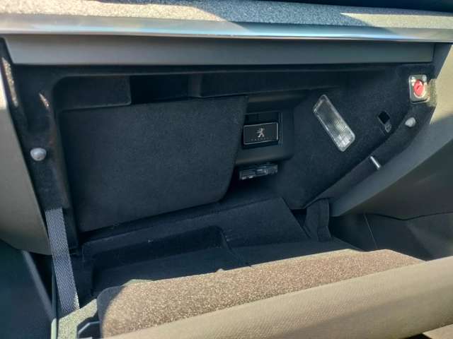 プジョー ３００８ ＧＴライン　デビューエディション H29年 (東北) 99