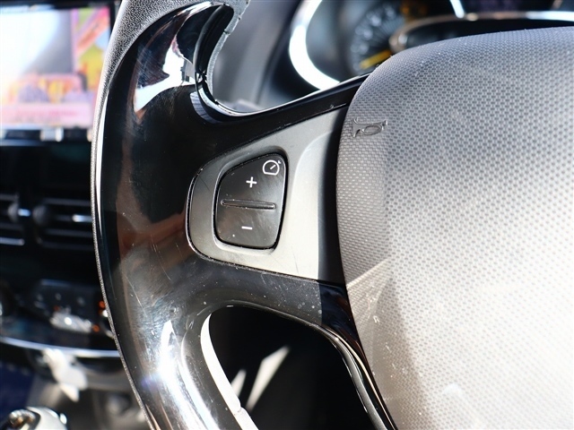 ルノー ルーテシア インテンス H26年 (関東) 99