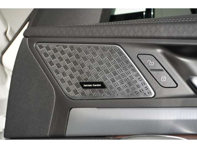 ＢＭＷ Ｘ２ Ｘドライブ２０Ｉ Ｍスポーツ ４ＷＤ R6年 (近畿) 99