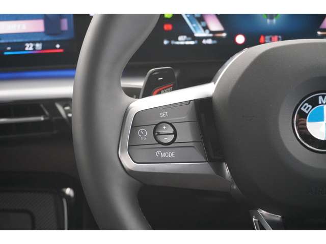 ＢＭＷ Ｘ２ Ｘドライブ２０Ｉ Ｍスポーツ ４ＷＤ R6年 (近畿) 99