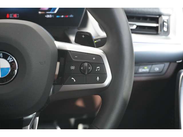 ＢＭＷ Ｘ２ Ｘドライブ２０Ｉ Ｍスポーツ ４ＷＤ R6年 (近畿) 99