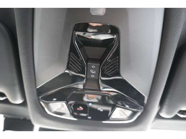 ＢＭＷ Ｘ２ Ｘドライブ２０Ｉ Ｍスポーツ ４ＷＤ R6年 (近畿) 99