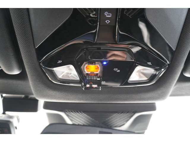 ＢＭＷ Ｘ２ Ｘドライブ２０Ｉ Ｍスポーツ ４ＷＤ R6年 (近畿) 99