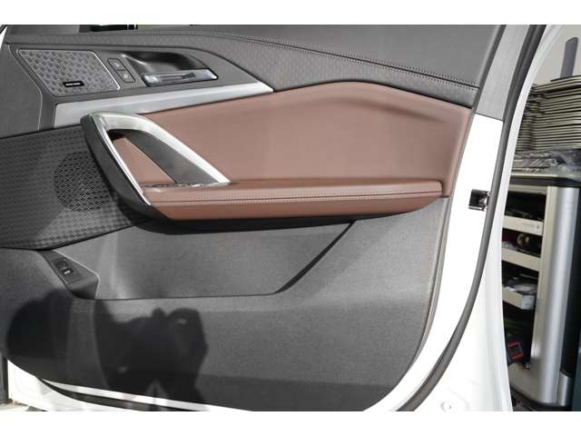 ＢＭＷ Ｘ２ Ｘドライブ２０Ｉ Ｍスポーツ ４ＷＤ R6年 (近畿) 99