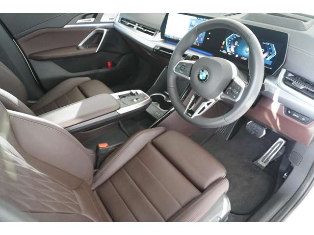 ＢＭＷ Ｘ２ Ｘドライブ２０Ｉ Ｍスポーツ ４ＷＤ R6年 (近畿) 99