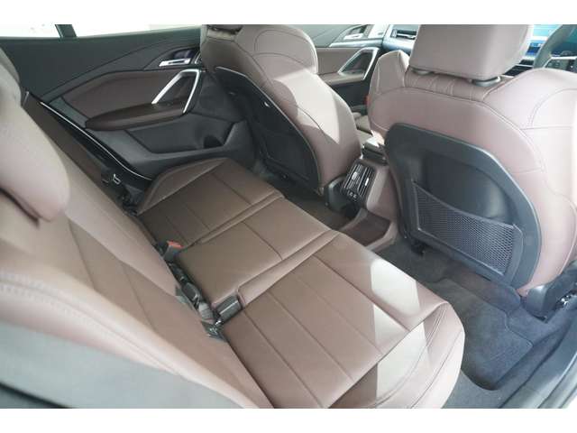 ＢＭＷ Ｘ２ Ｘドライブ２０Ｉ Ｍスポーツ ４ＷＤ R6年 (近畿) 99