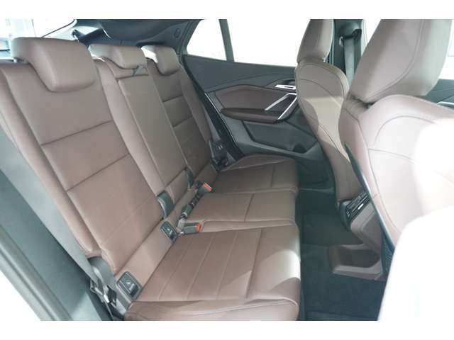 ＢＭＷ Ｘ２ Ｘドライブ２０Ｉ Ｍスポーツ ４ＷＤ R6年 (近畿) 99