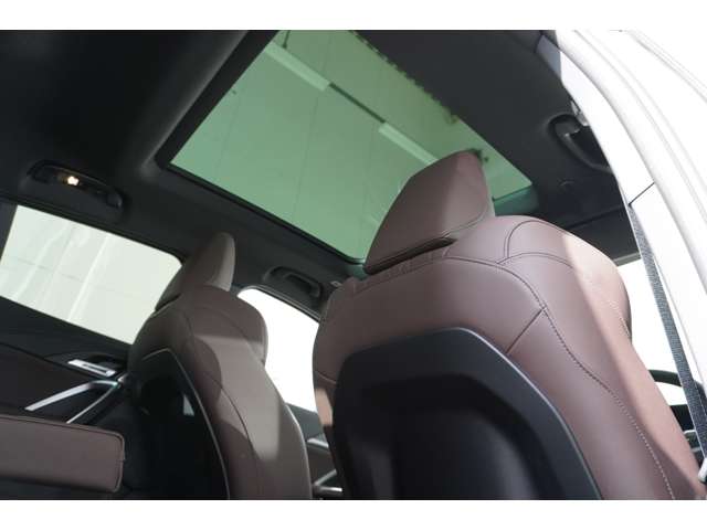 ＢＭＷ Ｘ２ Ｘドライブ２０Ｉ Ｍスポーツ ４ＷＤ R6年 (近畿) 99