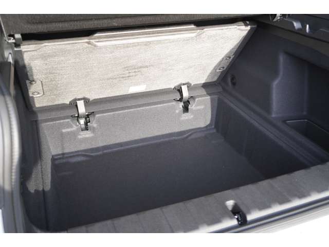 ＢＭＷ Ｘ２ Ｘドライブ２０Ｉ Ｍスポーツ ４ＷＤ R6年 (近畿) 99