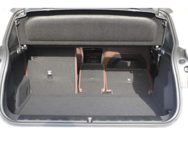 ＢＭＷ Ｘ２ Ｘドライブ２０Ｉ Ｍスポーツ ４ＷＤ R6年 (近畿) 99