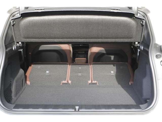 ＢＭＷ Ｘ２ Ｘドライブ２０Ｉ Ｍスポーツ ４ＷＤ R6年 (近畿) 99