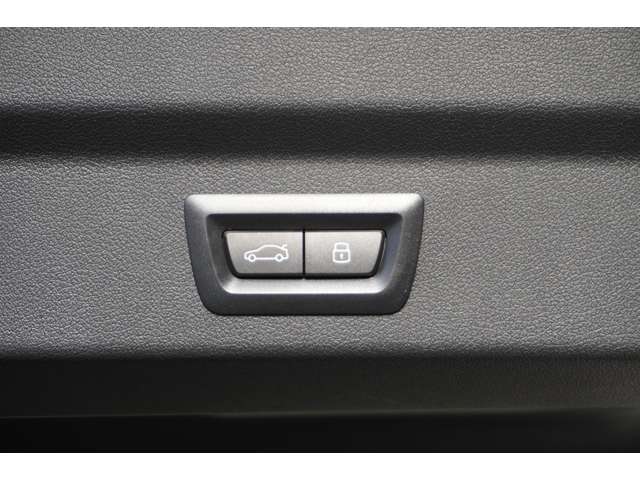 ＢＭＷ Ｘ２ Ｘドライブ２０Ｉ Ｍスポーツ ４ＷＤ R6年 (近畿) 99