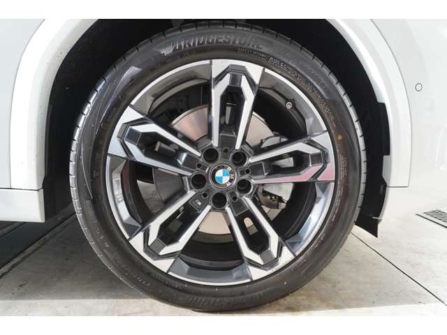 ＢＭＷ Ｘ２ Ｘドライブ２０Ｉ Ｍスポーツ ４ＷＤ R6年 (近畿) 99