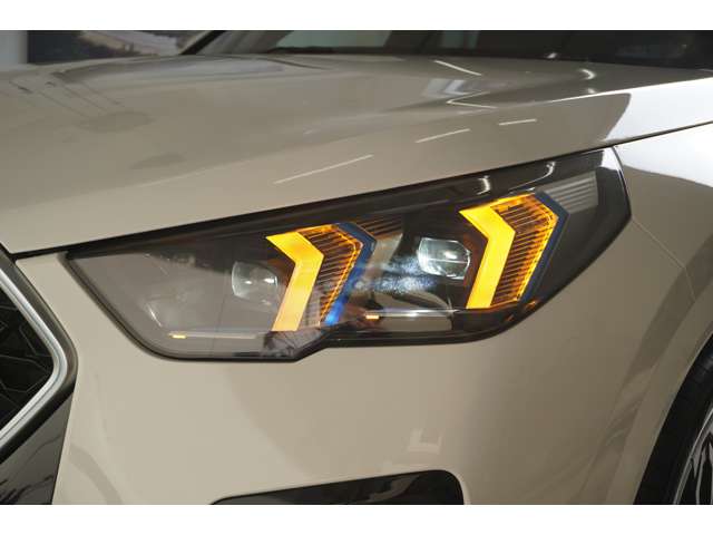 ＢＭＷ Ｘ２ Ｘドライブ２０Ｉ Ｍスポーツ ４ＷＤ R6年 (近畿) 99