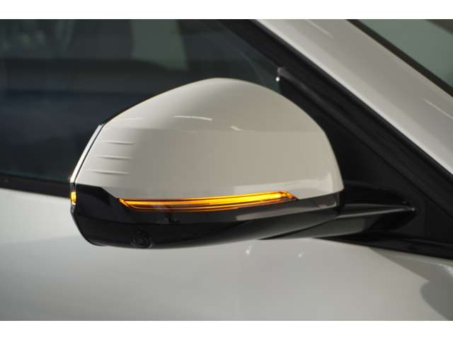 ＢＭＷ Ｘ２ Ｘドライブ２０Ｉ Ｍスポーツ ４ＷＤ R6年 (近畿) 99