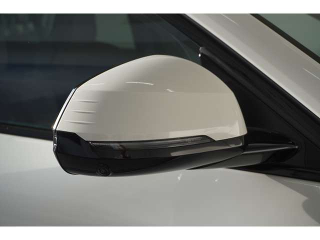 ＢＭＷ Ｘ２ Ｘドライブ２０Ｉ Ｍスポーツ ４ＷＤ R6年 (近畿) 99