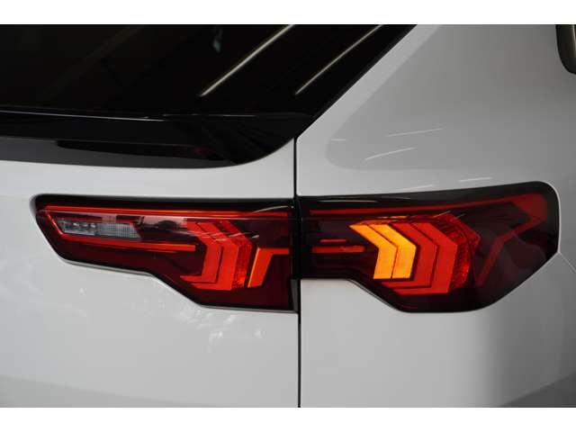 ＢＭＷ Ｘ２ Ｘドライブ２０Ｉ Ｍスポーツ ４ＷＤ R6年 (近畿) 99