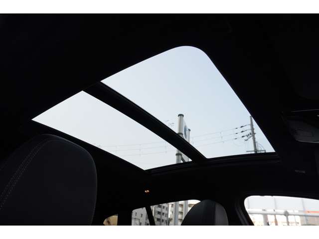 ＢＭＷ Ｘ４ Ｘドライブ２０Ｄ Ｍスポーツ ディーゼルターボ ４ＷＤ R5年 (近畿) 99