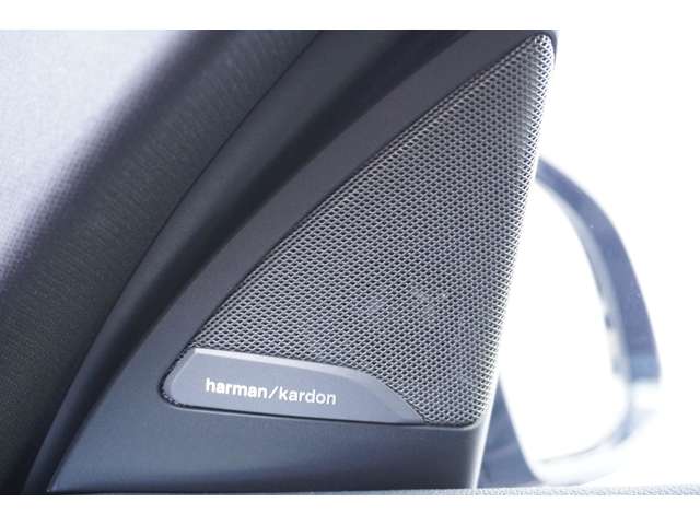 ＢＭＷ Ｘ４ Ｘドライブ２０Ｄ Ｍスポーツ ディーゼルターボ ４ＷＤ R5年 (近畿) 99