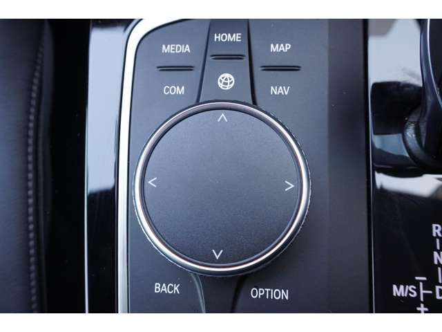 ＢＭＷ Ｘ４ Ｘドライブ２０Ｄ Ｍスポーツ ディーゼルターボ ４ＷＤ R5年 (近畿) 99