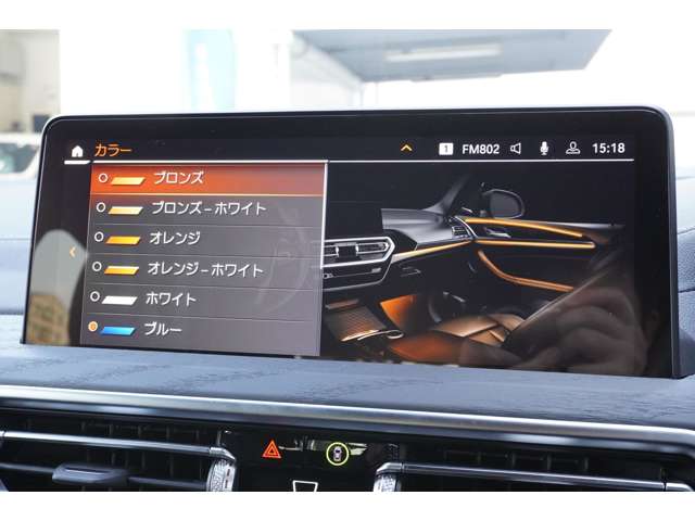 ＢＭＷ Ｘ４ Ｘドライブ２０Ｄ Ｍスポーツ ディーゼルターボ ４ＷＤ R5年 (近畿) 99