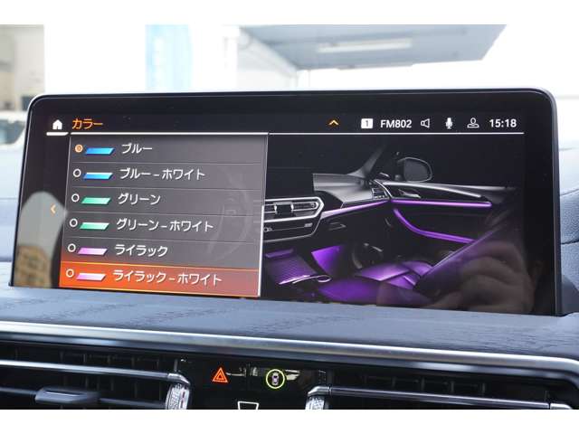 ＢＭＷ Ｘ４ Ｘドライブ２０Ｄ Ｍスポーツ ディーゼルターボ ４ＷＤ R5年 (近畿) 99