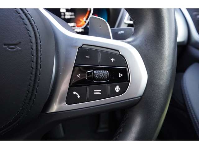 ＢＭＷ Ｘ４ Ｘドライブ２０Ｄ Ｍスポーツ ディーゼルターボ ４ＷＤ R5年 (近畿) 99