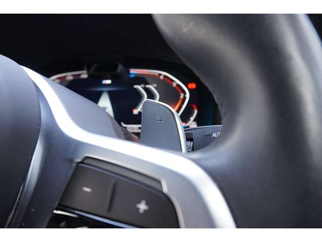 ＢＭＷ Ｘ４ Ｘドライブ２０Ｄ Ｍスポーツ ディーゼルターボ ４ＷＤ R5年 (近畿) 99