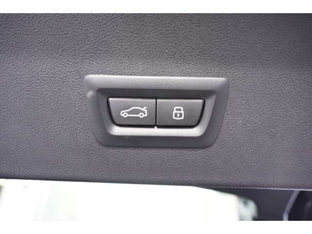 ＢＭＷ Ｘ４ Ｘドライブ２０Ｄ Ｍスポーツ ディーゼルターボ ４ＷＤ R5年 (近畿) 99