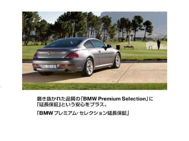 ＢＭＷ Ｘ４ Ｘドライブ２０Ｄ Ｍスポーツ ディーゼルターボ ４ＷＤ R5年 (近畿) 99