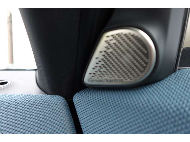 ミニ ミニカントリーマン Ｓ ＡＬＬ４ ＤＣＴ ４ＷＤ R6年 (近畿) 99