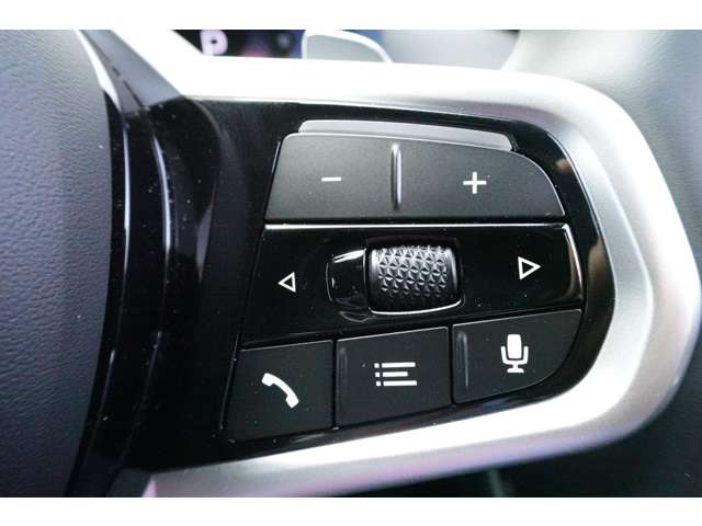 ＢＭＷ ３シリーズ ３３０ｅ　Ｍスポーツ R6年 (近畿) 99