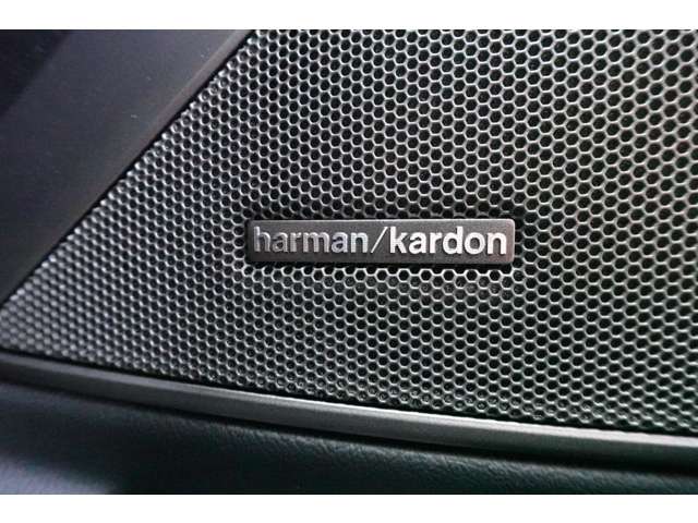 ＢＭＷ ３シリーズ ３３０ｅ　Ｍスポーツ R6年 (近畿) 99